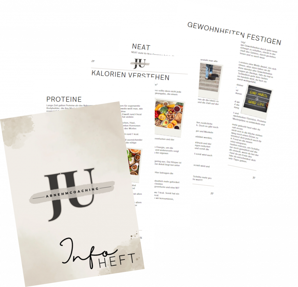 JU-Infoheft